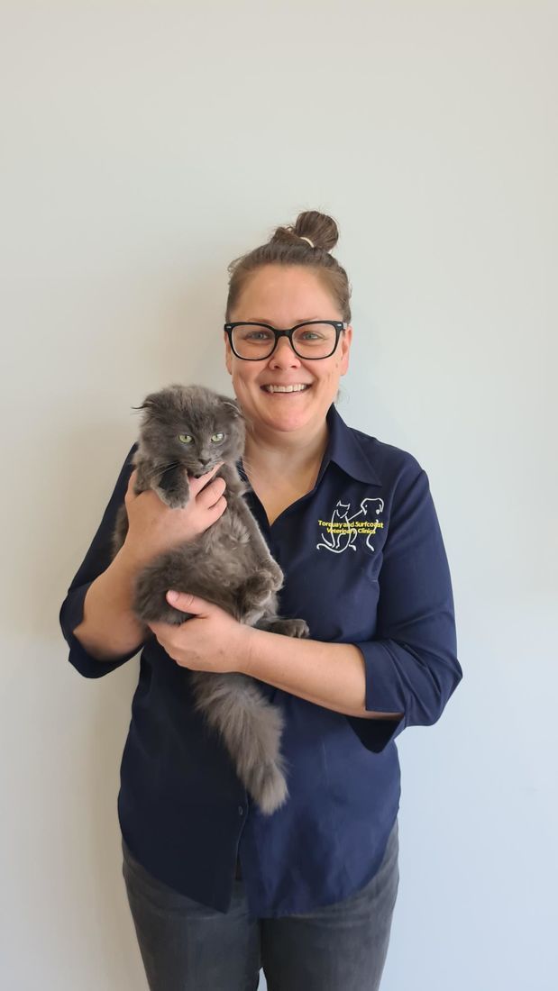 Meet Our Staff Torquay and Surfcoast Veterinary Clinics