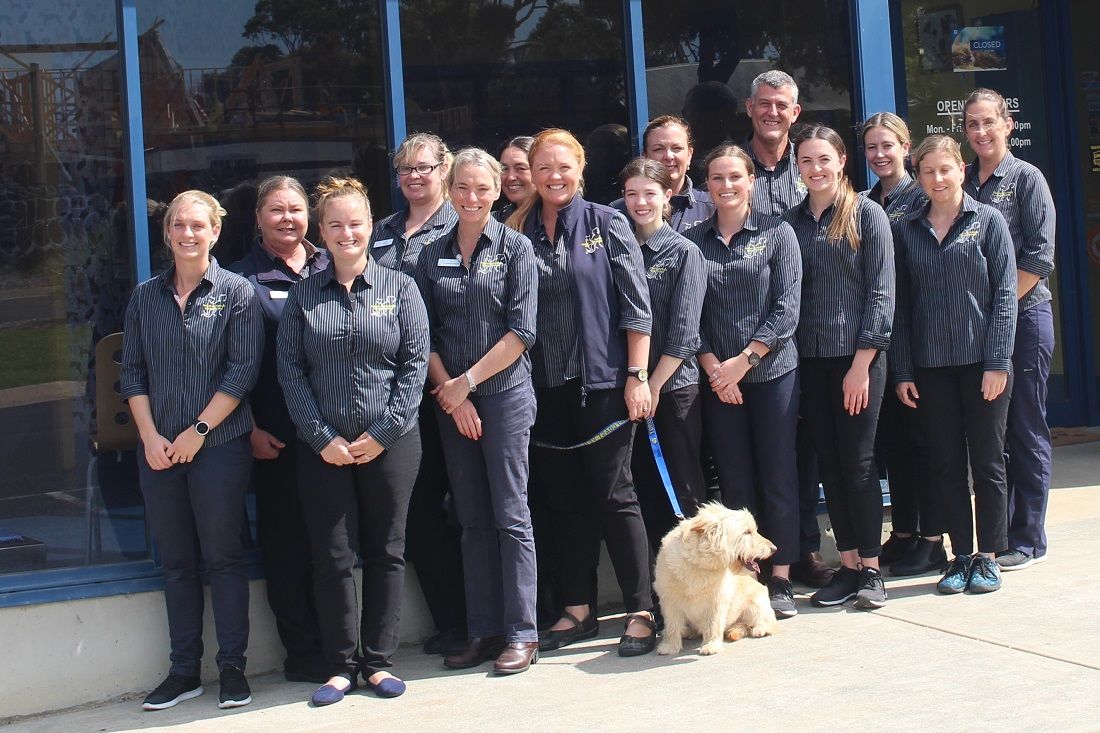 Contact Torquay and Surfcoast Veterinary Clinics